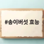 송이버섯 효능