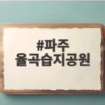 파주 율곡습지공원 가을 코스모스 축제 일정과 주차 정보 한눈에 확인하기 파주 율곡습지공원