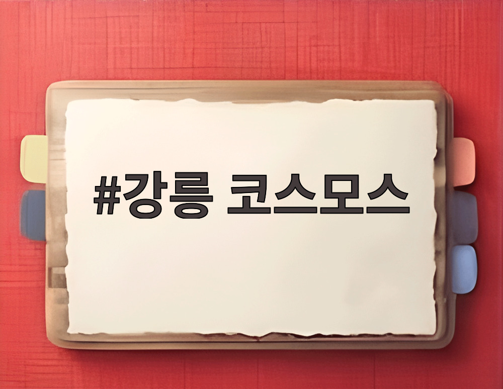강릉 코스모스