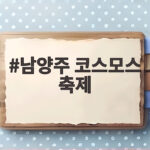 남양주 코스모스 축제 절정 시기와 숨은 명소 총정리 남양주 코스모스 축제