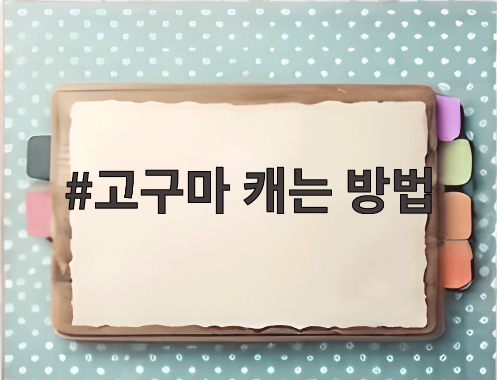 고구마 캐는 방법