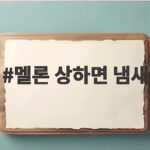 멜론 상하면 냄새 발효 향과 달콤한 향 구분하는 방법 멜론 상하면 냄새