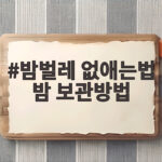 밤벌레 없애는법 밤 보관방법 더 이상 버리지 마세요 밤벌레 없애는법 밤 보관방법
