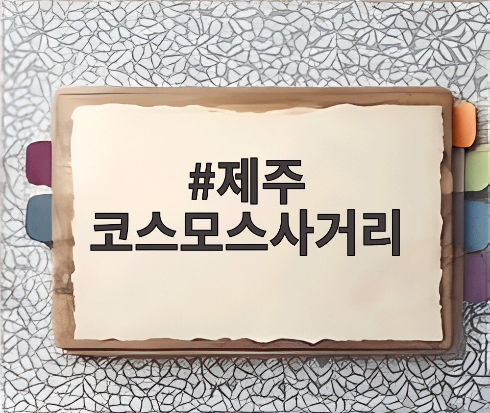 제주 코스모스사거리