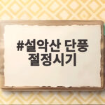 설악산 단풍 절정시기 10월 하순 놓치지 않는 법 설악산 단풍 절정시기