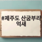 제주도 산굼부리 억새 2026년 개화시기와 가을 절경 만나는 팁 제주도 산굼부리 억새