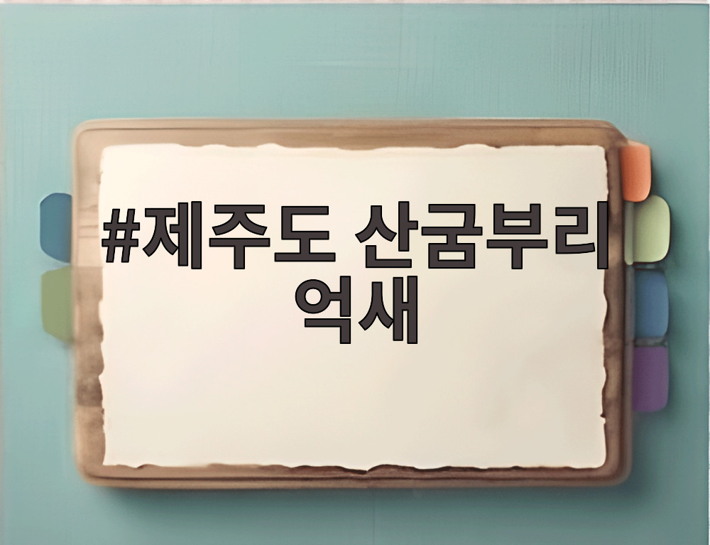제주도 산굼부리 억새