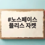 노스페이스 플리스 자켓