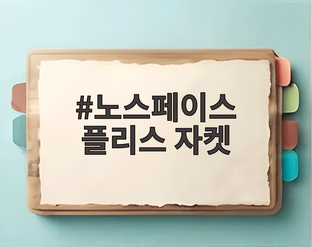 노스페이스 플리스 자켓