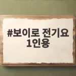 보이로 전기요 1인용
