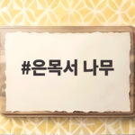 은목서 나무
