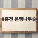 홍천 은행나무숲