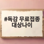 독감 무료접종 대상나이 2026년 접종일정과 준비물 한눈에 독감 무료접종 대상나이