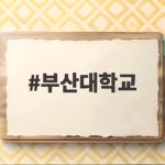 부산대학교 수시 등급 완벽 분석 부산대학교
