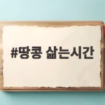 땅콩 삶는시간 제대로 알고 촉촉하게 즐기는 방법 땅콩 삶는시간