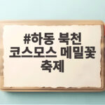 하동 북천 코스모스 메밀꽃 축제