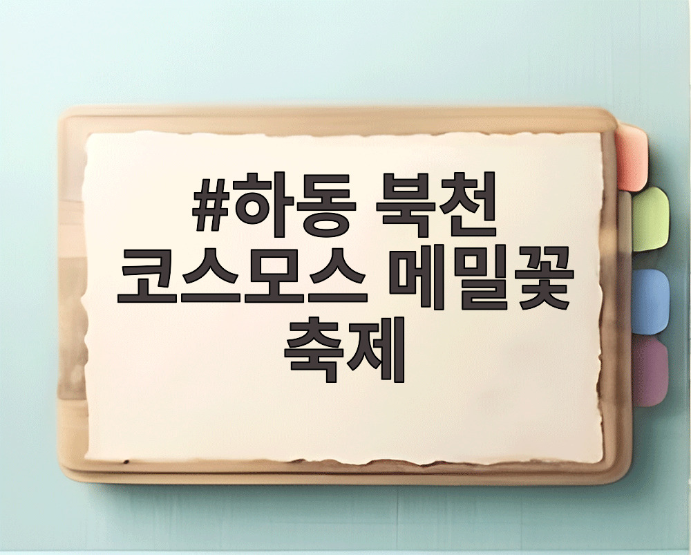 하동 북천 코스모스 메밀꽃 축제