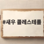 새우 콜레스테롤