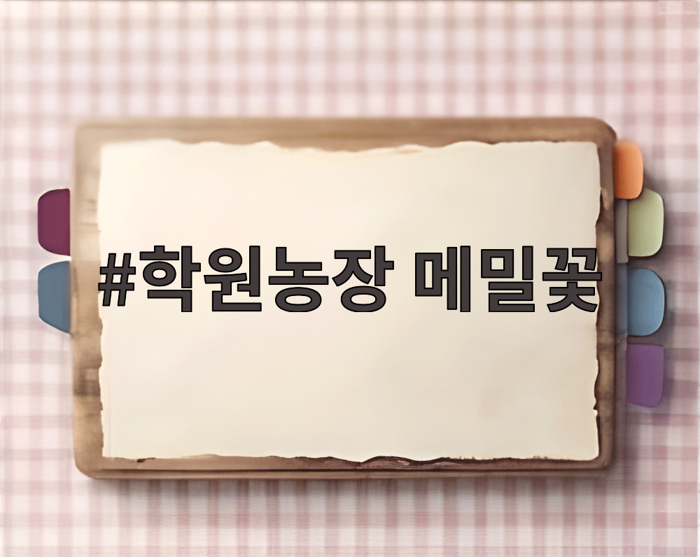 학원농장 메밀꽃