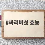 싸리버섯 효능
