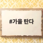 가을 탄다