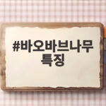 바오바브나무 특징이 궁금하다면 놀라운 생존 비밀 총정리 바오바브나무 특징