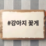 강아지 꽃게 먹어도 될까 안전하게 급여하는 법과 주의사항 강아지 꽃게