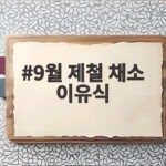 9월 제철 채소 이유식