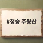 청송 주왕산 가을 단풍 산행 초보자도 이 코스만 알면 걱정 없습니다 청송 주왕산
