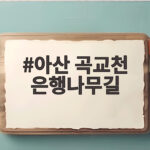 아산 곡교천 은행나무길 언제 가야 황금빛 터널을 볼까 아산 곡교천 은행나무길