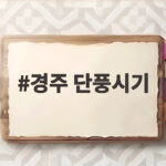 경주 단풍시기 절정 명소별 날짜와 가을 여행 일정 짜는 법 경주 단풍시기