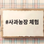 사과농장 체험 아이와 함께라면 이번 가을 꼭 떠나보세요 사과농장 체험