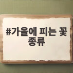가을에 피는 꽃 종류