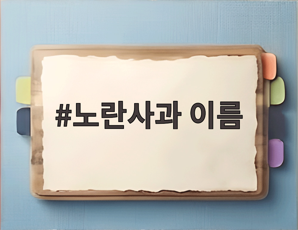 노란사과 이름