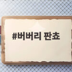 버버리 판쵸