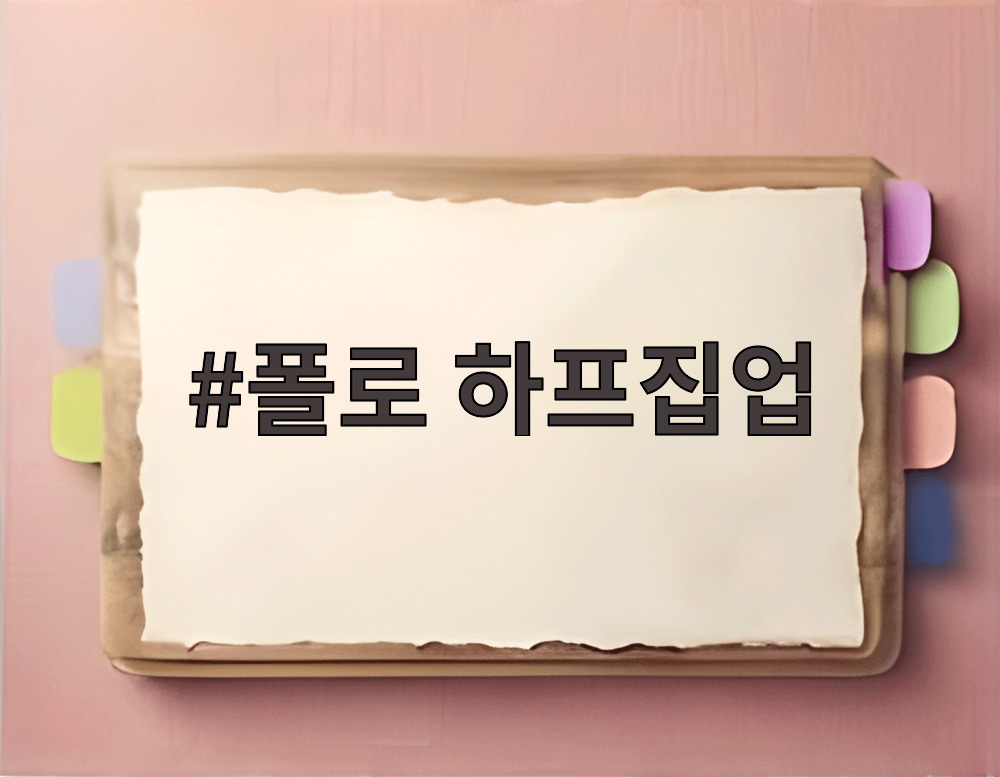폴로 하프집업