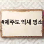 제주도 억새 명소