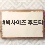 빅사이즈 후드티 고르다 포기했다면 꼭 확인할 것들 빅사이즈 후드티