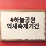 하늘공원 억새축제기간