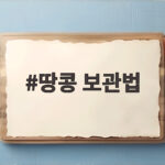 땅콩 보관법