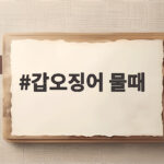 갑오징어 물때