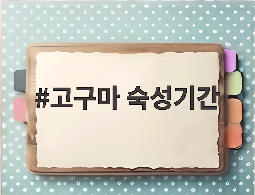 고구마 숙성기간
