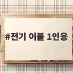 전기 이불 1인용
