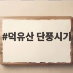 덕유산 단풍시기