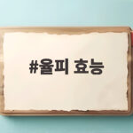 율피 효능