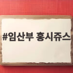 임산부 홍시쥬스
