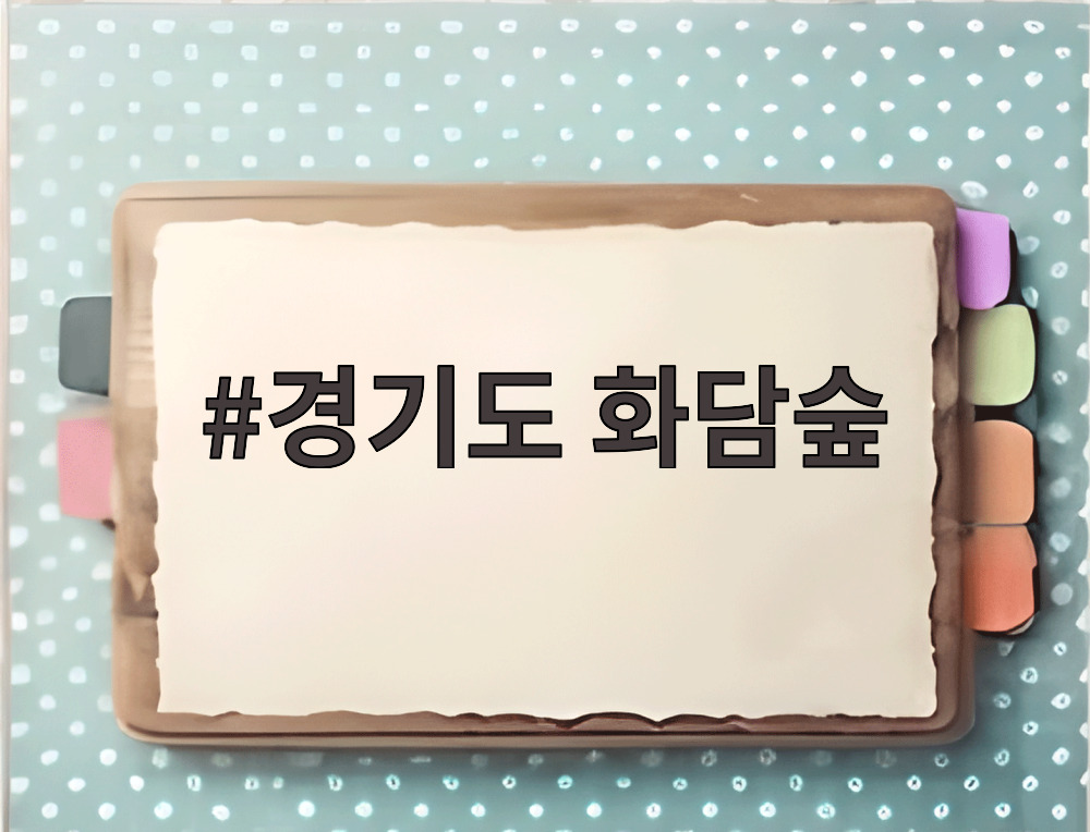 경기도 화담숲