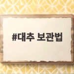 대추 보관법 냉장 보관 냉동 보관 말리기까지 이렇게 하면 오래 둘 수 있어요 대추 보관법