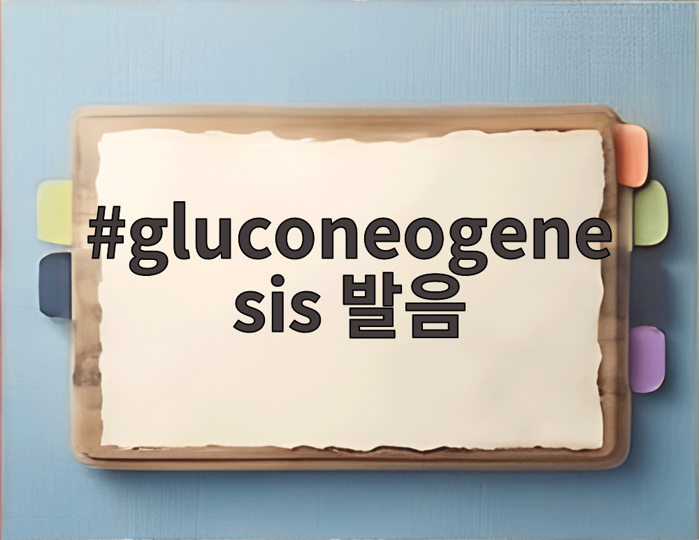 gluconeogenesis 발음