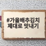 가을배추김치 제대로 맛내기 수확 시기부터 절이기까지 가을배추김치 제대로 맛내기